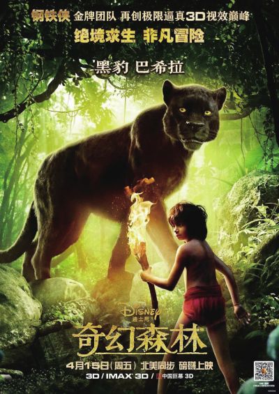 做个假华盛顿特区